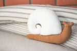 Caracol Zol